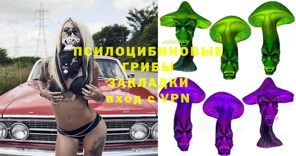 мяу мяу мука Абаза