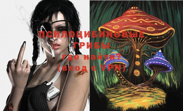 мяу мяу мука Абаза